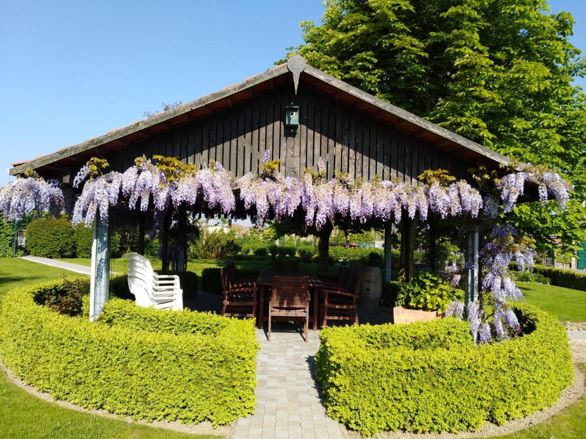 زونيبيكه 'T Hooghe Licht Bed & Breakfast المظهر الخارجي الصورة