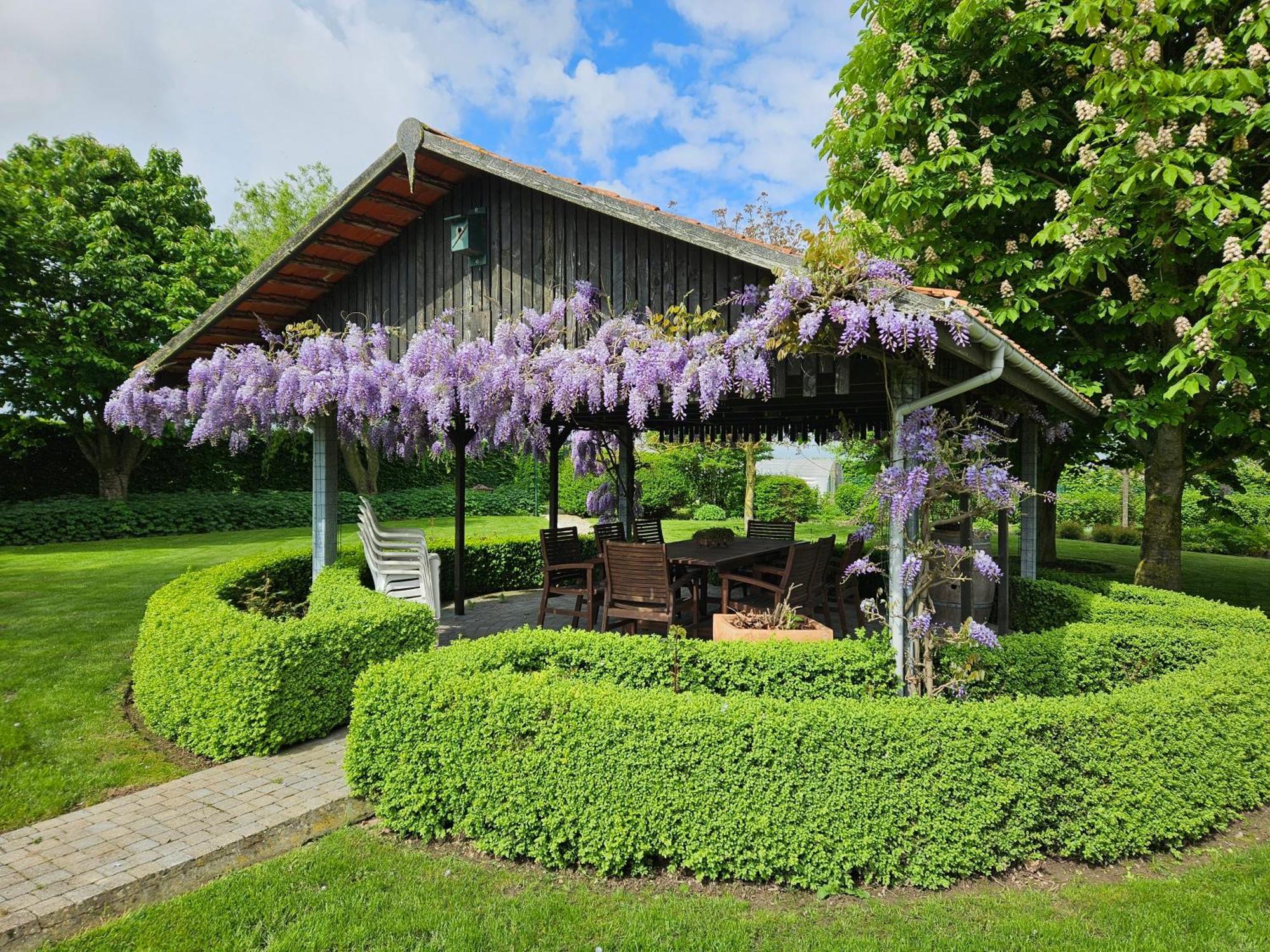 زونيبيكه 'T Hooghe Licht Bed & Breakfast المظهر الخارجي الصورة